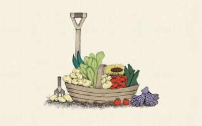 Vote for the Best Allotment Photo