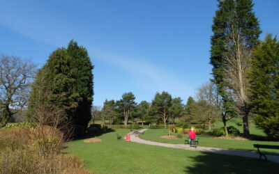 Tree Works within Alkincoates Park