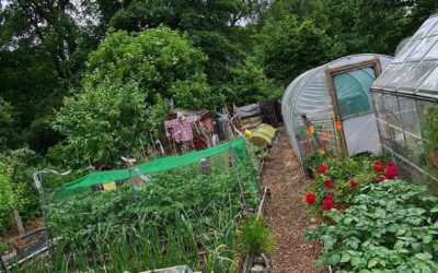 Alkincoates Allotments wins the triple in this years Allotment Awards.
