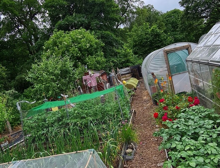 Alkincoates Allotments wins the triple in this years Allotment Awards.
